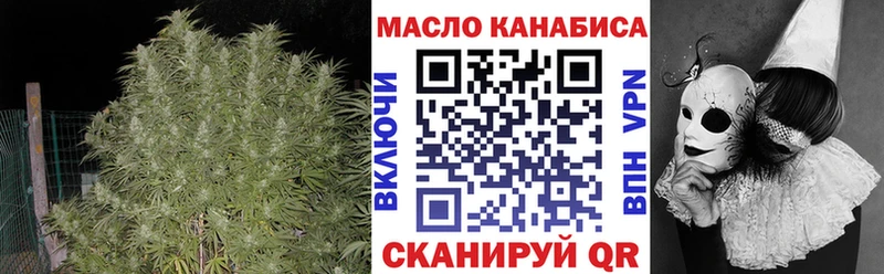 ТГК THC oil OMG как зайти Александровск